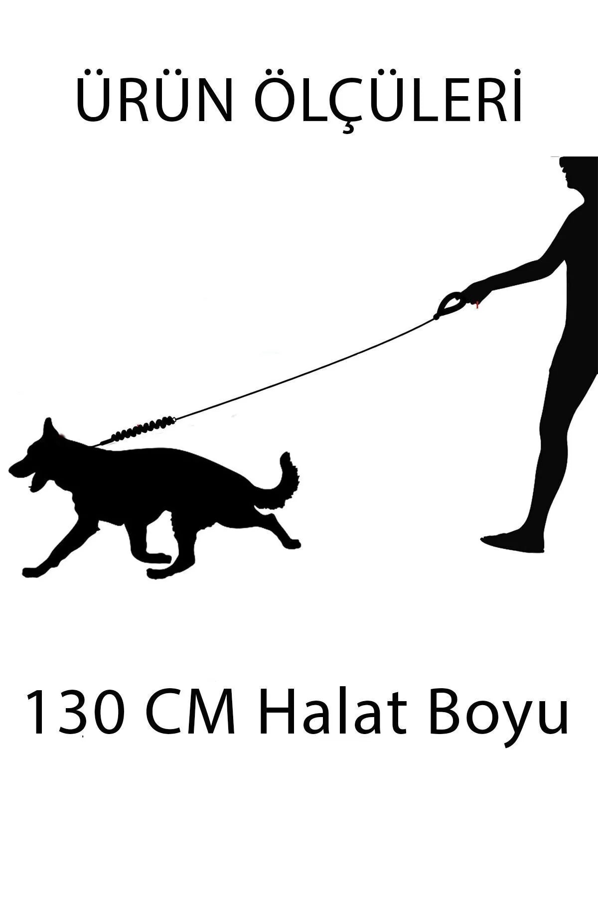 Petbebek™ Premium Reflektörlü Gezdirme İpi