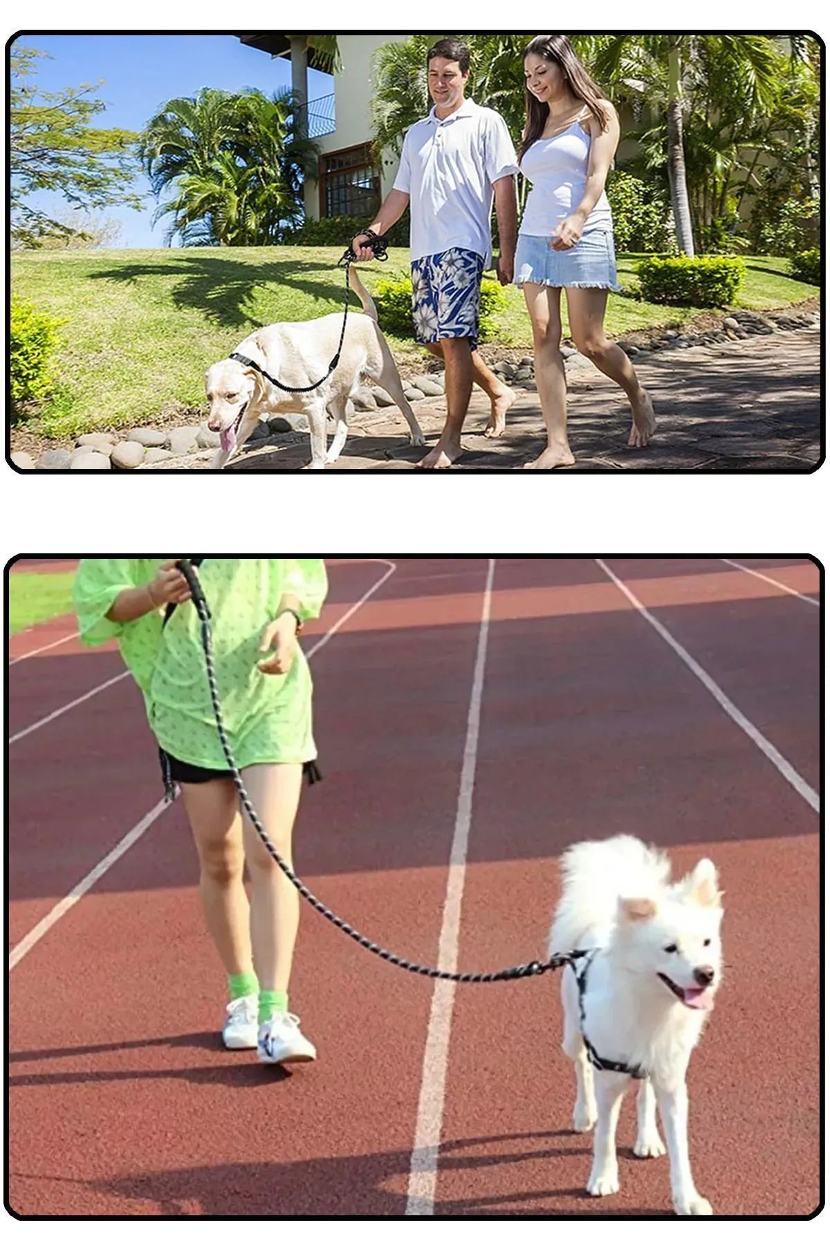 Petbebek™ Premium Reflektörlü Gezdirme İpi