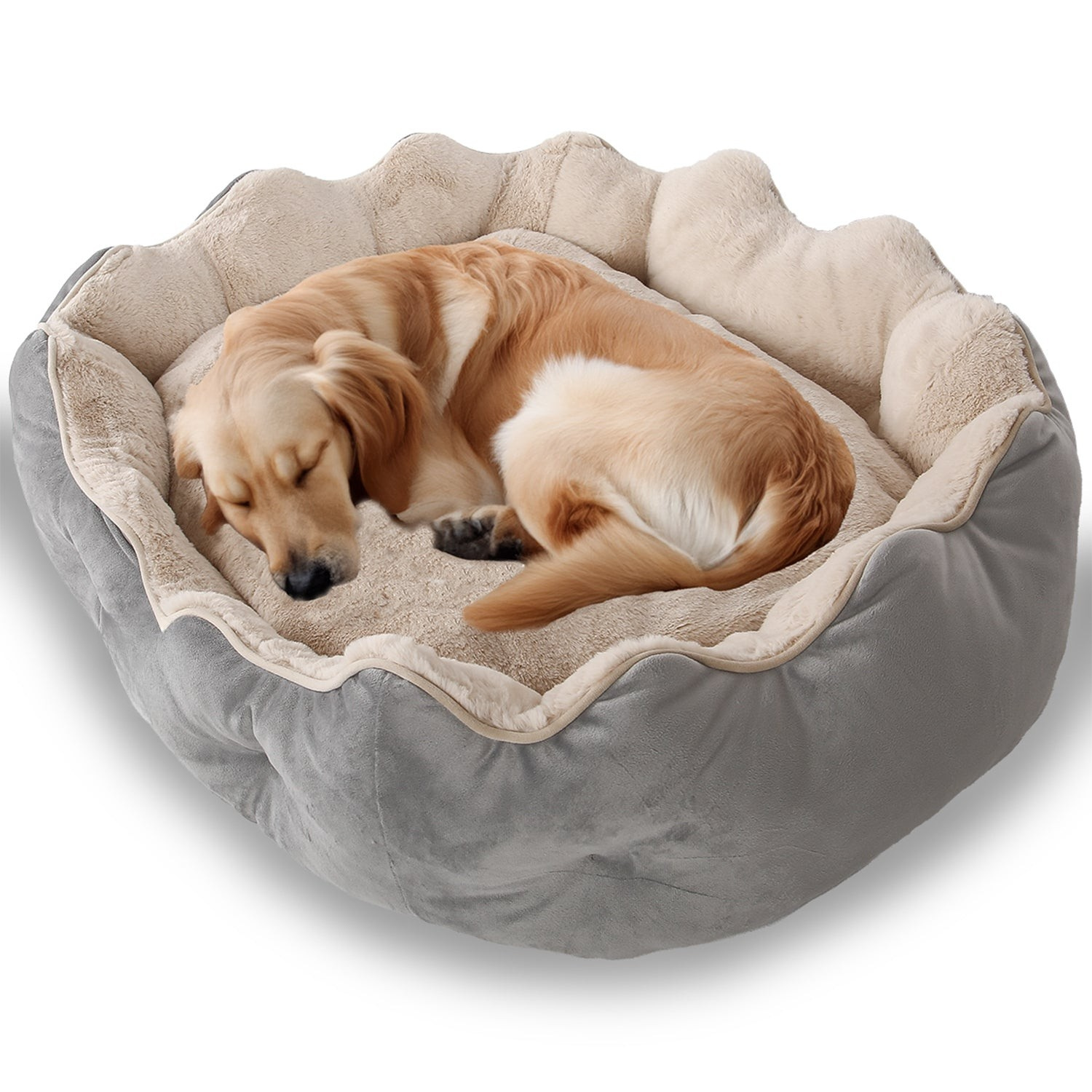 Petbebek™ Çift Taraflı Minderli, Ultra Yumuşak, Kaydırmaz Tabanlı, Yıkanabilir, Kedi ve Köpek Yatağı (Gri - Bej)