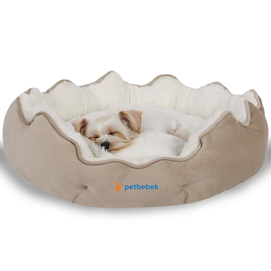 Petbebek™, Çift Taraflı Minderli, Ultra Yumuşak, Kaydırmaz Tabanlı, Yıkanabilir, Kedi ve Köpek Yatağı (Krem)