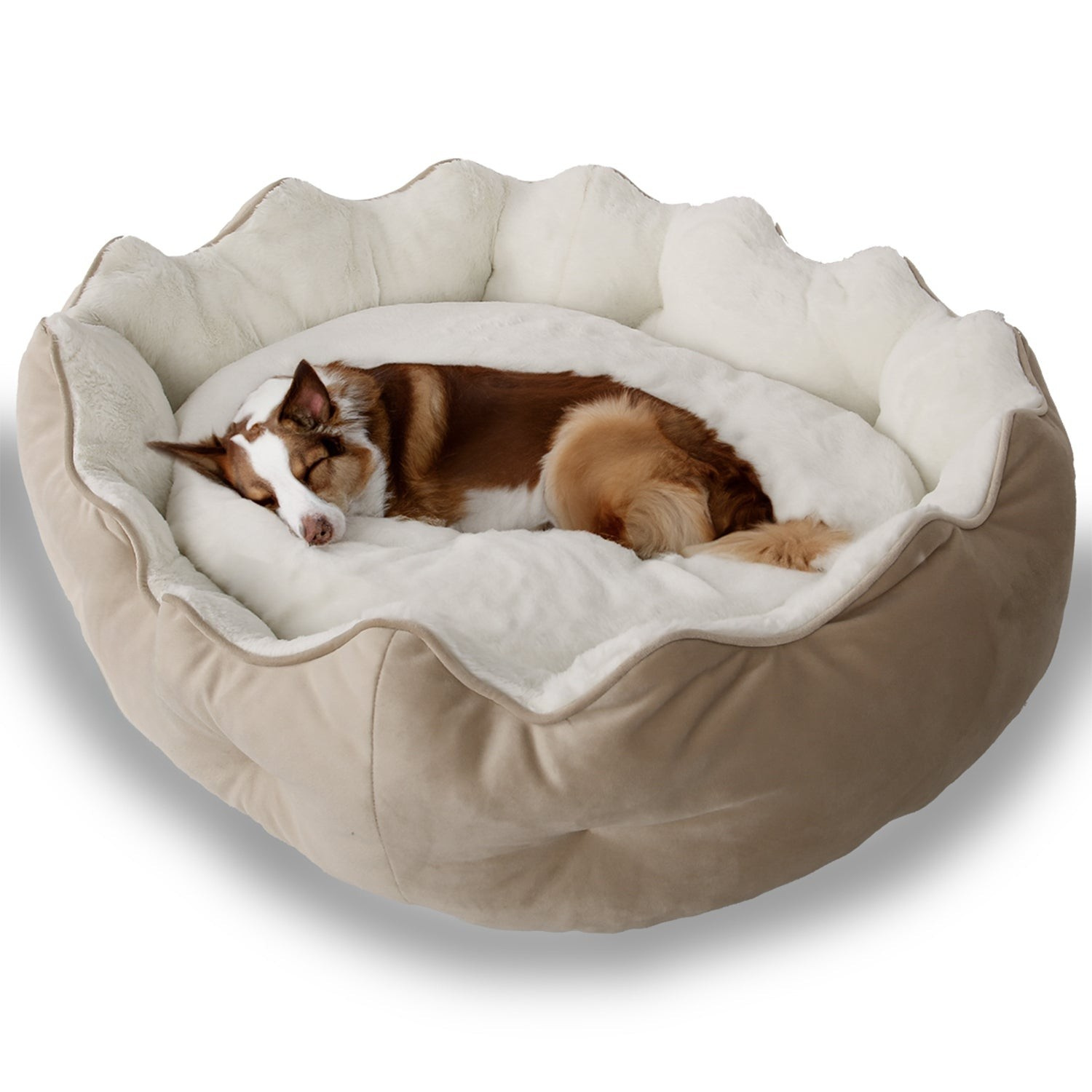 Petbebek™, Çift Taraflı Minderli, Ultra Yumuşak, Kaydırmaz Tabanlı, Yıkanabilir, Kedi ve Köpek Yatağı (Krem)