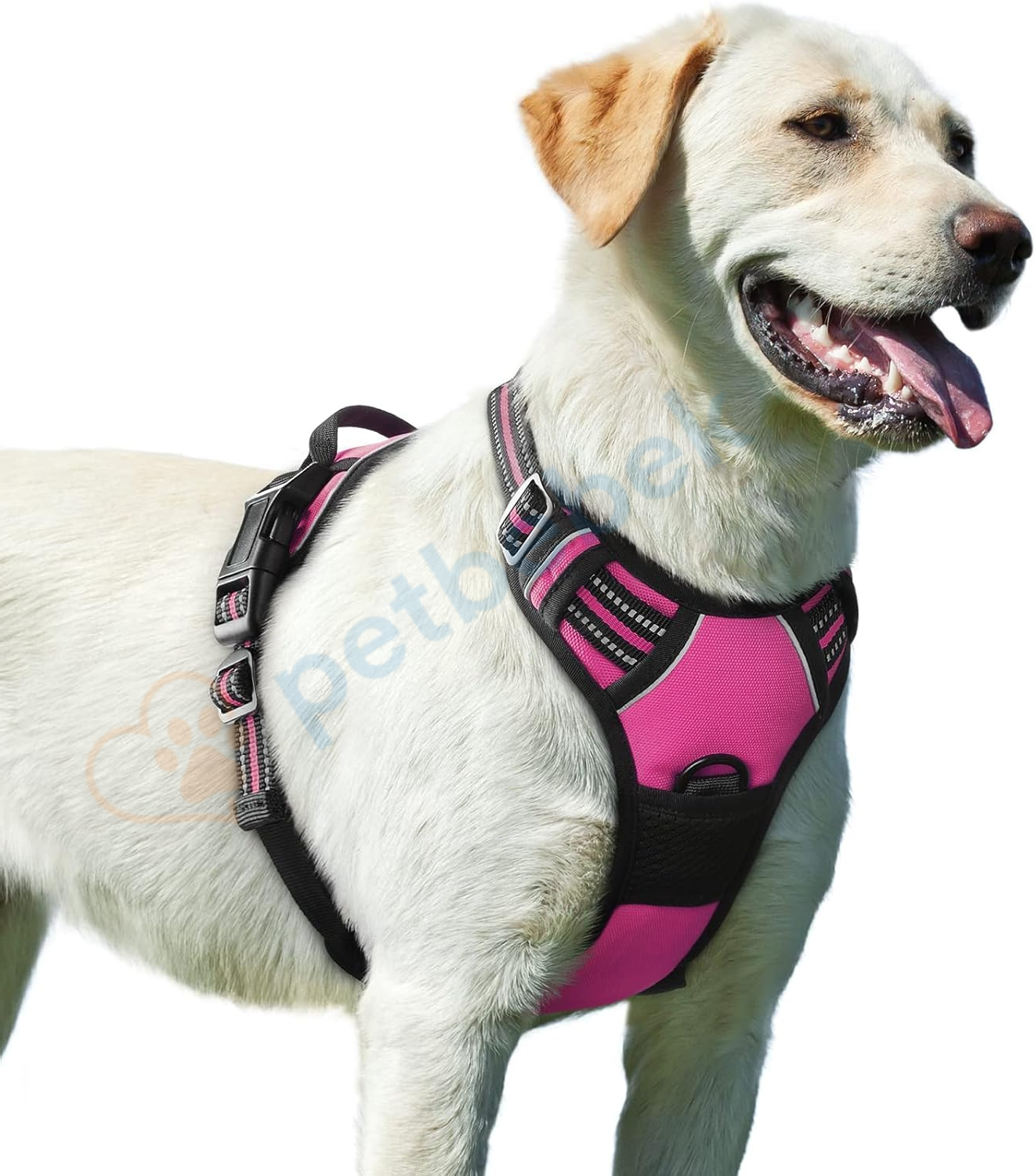 Petbebek Çekme ve Boğma Yapmayan Ön Klipsli Reflektörlü Yürüyüş Tasması