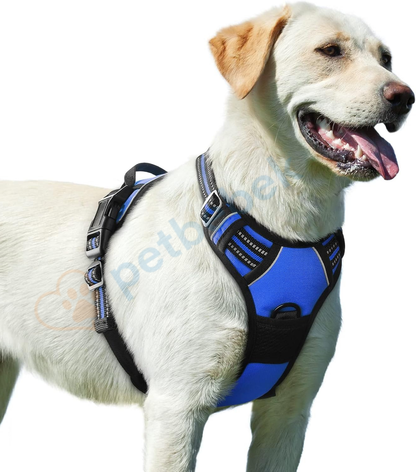 Petbebek Çekme ve Boğma Yapmayan Ön Klipsli Reflektörlü Yürüyüş Tasması