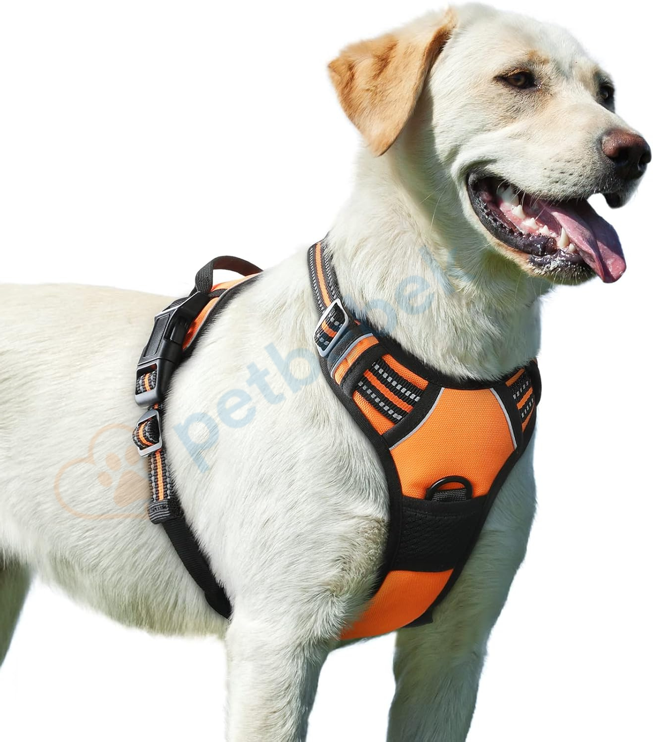 Petbebek Çekme ve Boğma Yapmayan Ön Klipsli Reflektörlü Yürüyüş Tasması