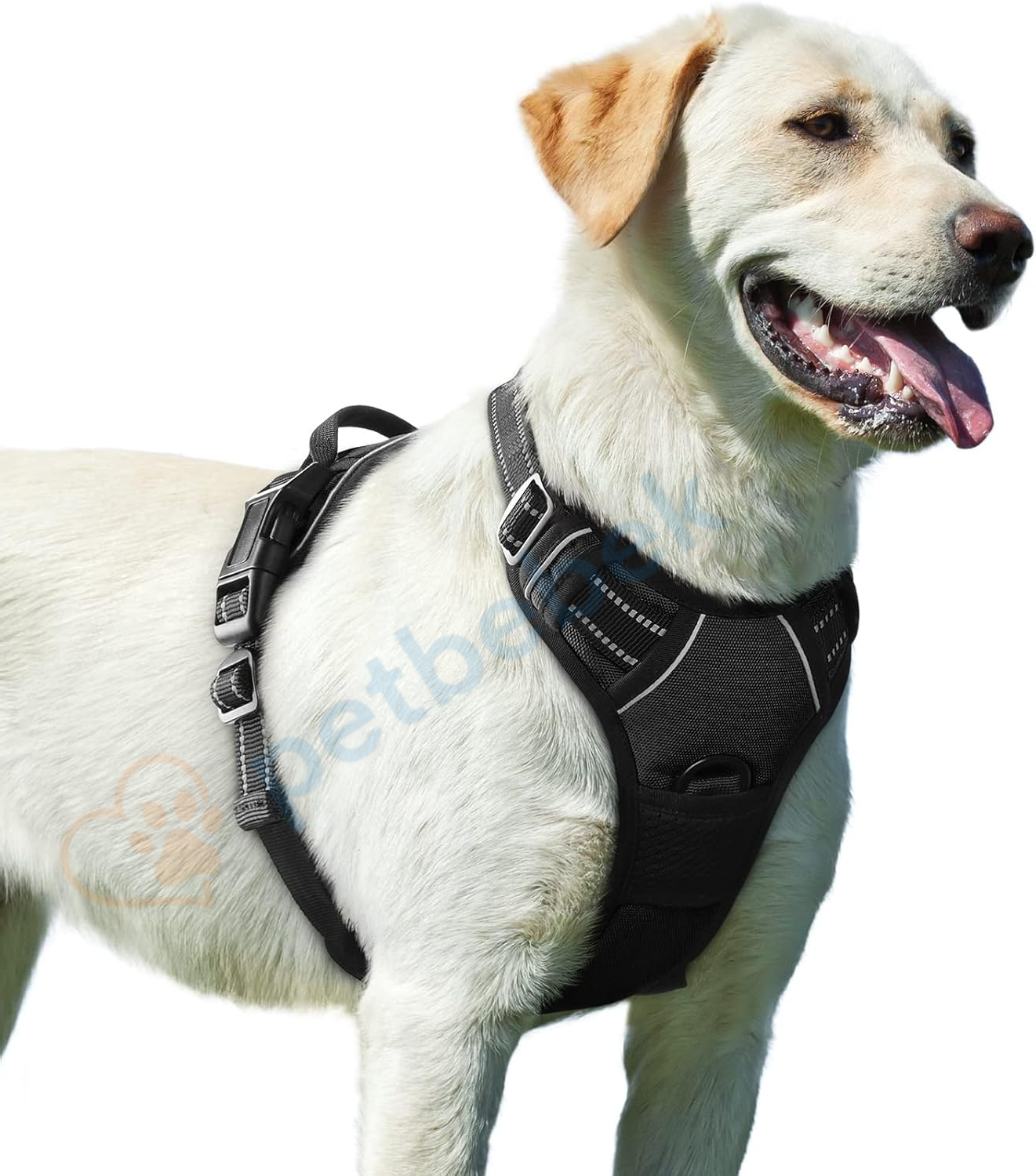 Petbebek Çekme ve Boğma Yapmayan Ön Klipsli Reflektörlü Yürüyüş Tasması