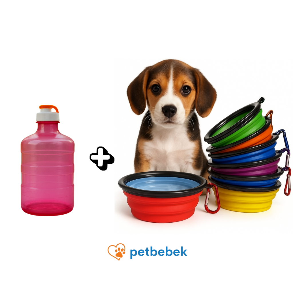 2 LT Suluk + Katlanabilir Köpek Mama Kabı