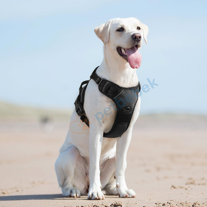 Petbebek Çekme ve Boğma Yapmayan Ön Klipsli Reflektörlü Yürüyüş Tasması