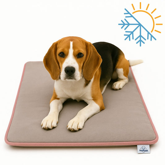 Petbebek™ Termal Mat 2’si 1 Arada Jel Dolgulu, Kışın Isıtıcı & Yazın Serinletici Etkili Kedi Ve Köpek Matı (Gri)