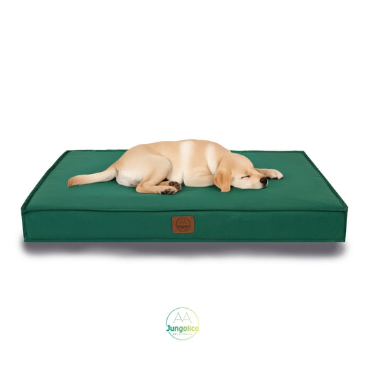 Petbebek™ Eva Garden, %100 Su Geçirmez Alezli, Çıkarılabilir Kılıflı, Tüy ve Leke Tutmaz Kumaşlı Kedi ve Köpek Yatağı